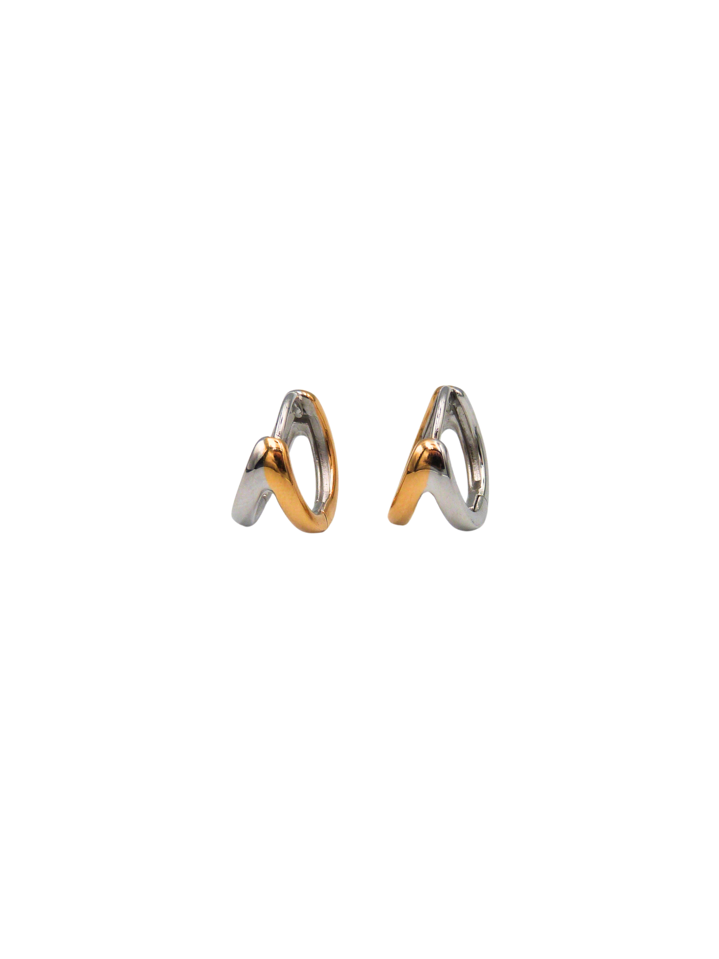 Double Gold/Silver Hoop Earring